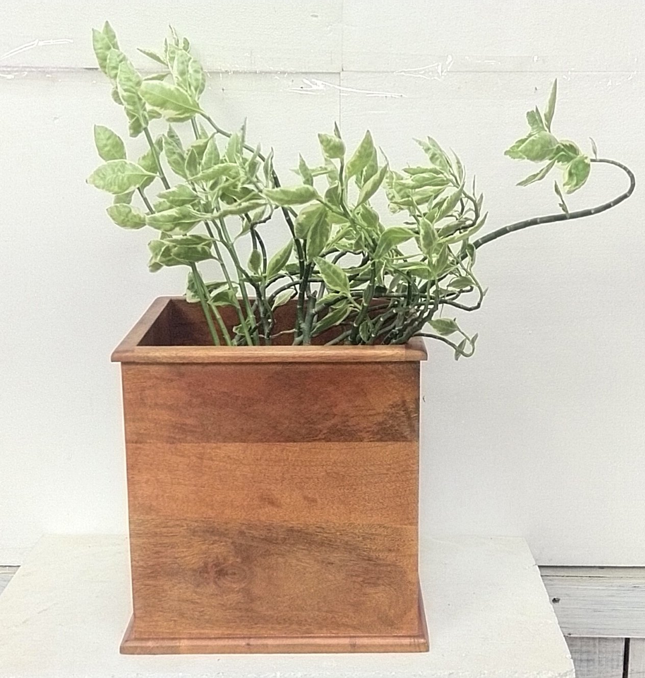Square wooden planter